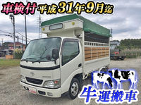 トヨタトヨエース家畜運搬車小型（2t・3t）[写真01]