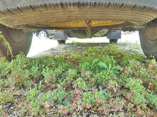 日野デュトロ平ボディ小型（2t・3t）[写真21]