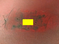 その他のメーカーその他の車種トレーラー（セミトレーラー）大型（10t）[写真34]