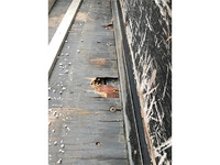 三菱ふそうキャンター平ボディ小型（2t・3t）[写真10]