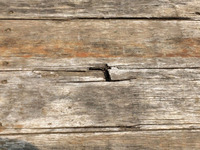 日野レンジャー平ボディ中型（4t）[写真17]