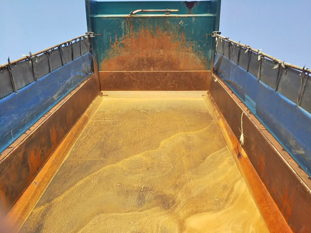 三菱ふそうスーパーグレートダンプ大型（10t）[写真13]