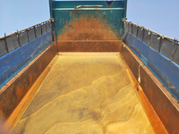 三菱ふそうスーパーグレートダンプ大型（10t）[写真13]