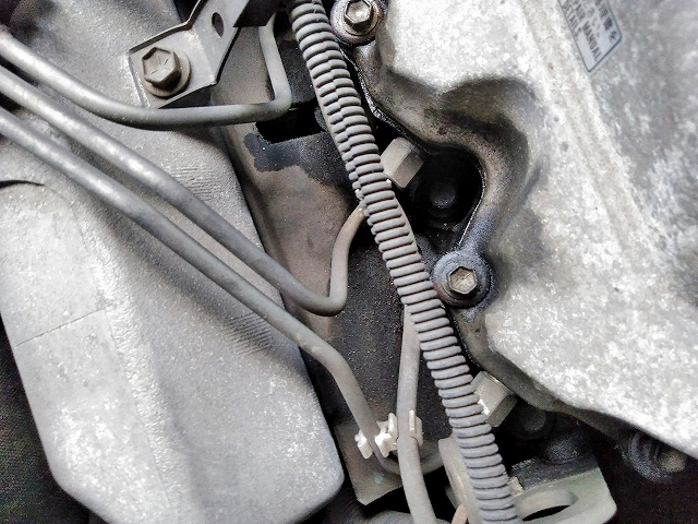 トヨタコースターマイクロバス[写真17]