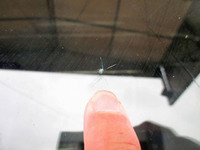 日野レンジャーアルミウイング中型（4t）[写真10]