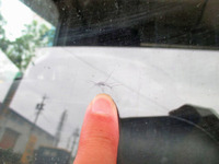 日野レンジャーアルミウイング中型（4t）[写真09]