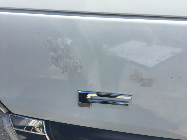 三菱ふそうキャンター平ボディ小型（2t・3t）[写真05]