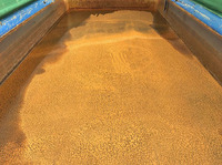 三菱ふそうスーパーグレートダンプ大型（10t）[写真13]