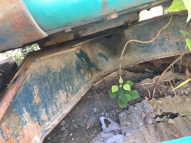 ヤンマーミニユンボ（ミニバックホー）[写真12]