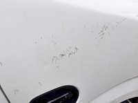 いすゞエルフ平ボディ小型（2t・3t）[写真10]