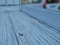 トヨタダイナ平ボディ小型（2t・3t）[写真11]