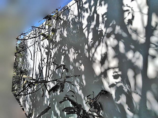 いすゞフォワード冷凍車（冷蔵車）中型（4t）[写真05]