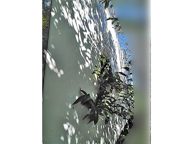 いすゞフォワード冷凍車（冷蔵車）中型（4t）[写真06]