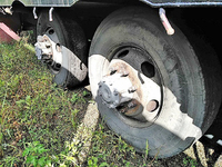 三菱ふそうスーパーグレートアルミブロック大型（10t）[写真17]