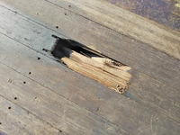 輸送機工業その他の車種トレーラー（セミトレーラー）大型（10t）[写真18]