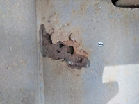 輸送機工業その他の車種トレーラー（セミトレーラー）大型（10t）[写真20]