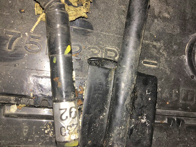 いすゞエルフアルミバン小型（2t・3t）[写真10]