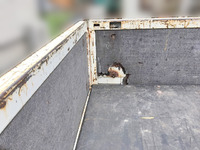 トヨタトヨエースダブルキャブ（Wキャブ）小型（2t・3t）[写真07]