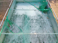 三菱ふそうキャンターボトルバン小型（2t・3t）[写真16]