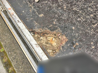 トヨタダイナ平ボディ小型（2t・3t）[写真06]