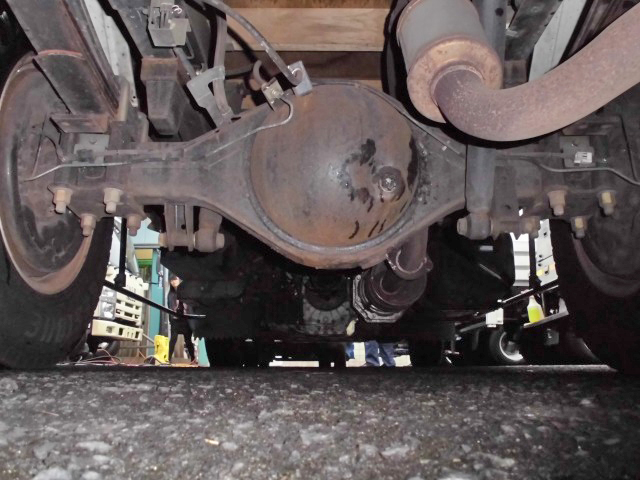 いすゞエルフカーテン車小型（2t・3t）[写真18]