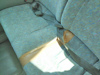 トヨタコースターバス[写真16]