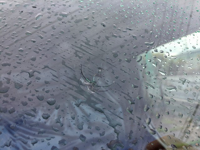 三菱ふそうキャンターガッツダブルキャブ（Wキャブ）小型（2t・3t）[写真10]