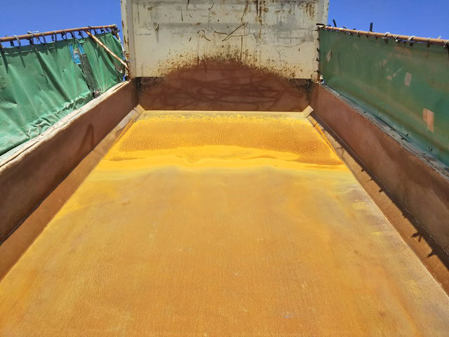 いすゞギガダンプ大型（10t）[写真14]