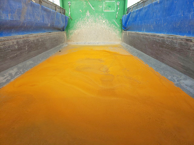 日野プロフィアダンプ大型（10t）[写真16]