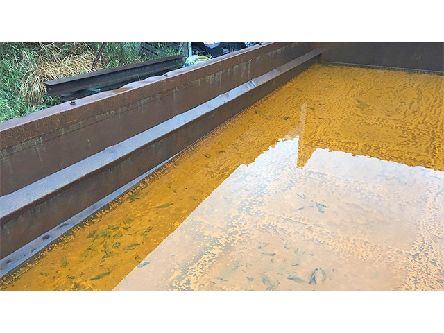 日野プロフィアダンプ大型（10t）[写真10]