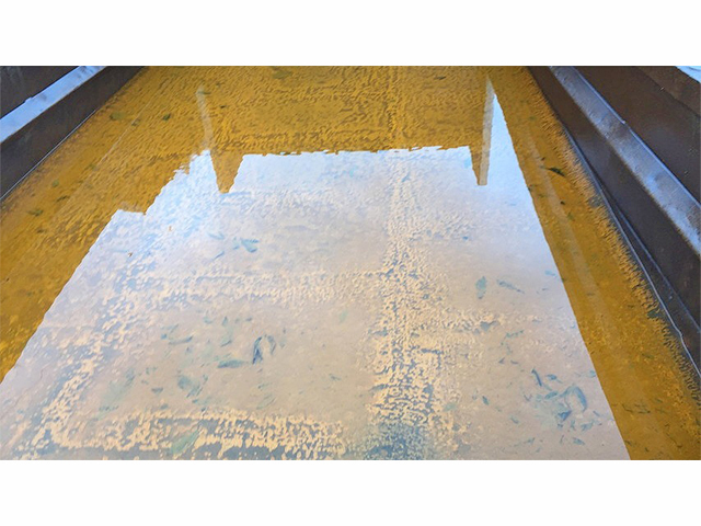 日野プロフィアダンプ大型（10t）[写真11]