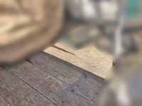 日野レンジャー平ボディ中型（4t）[写真08]