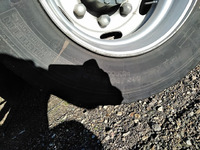 いすゞフォワードアルミウイング増トン（6t・8t）[写真15]