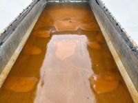 日野プロフィアダンプ大型（10t）[写真14]