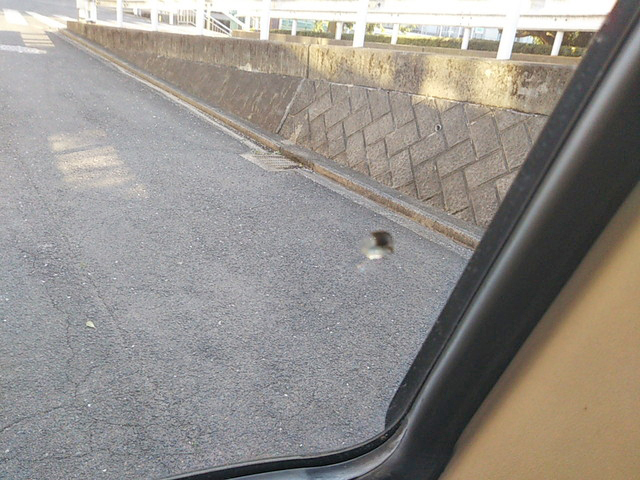 三菱ふそうローザマイクロバス[写真22]