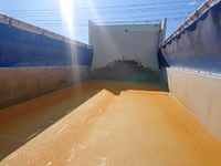 日野プロフィアダンプ大型（10t）[写真09]