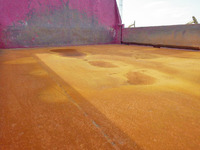 ヤンマークローラダンプ[写真11]