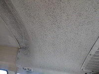 トヨタコースターマイクロバス[写真07]