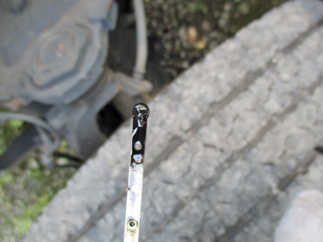 いすゞエルフ冷凍車（冷蔵車）小型（2t・3t）[写真33]