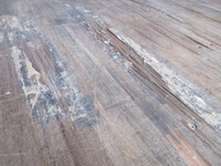 いすゞフォワードアルミウイング中型（4t）[写真08]