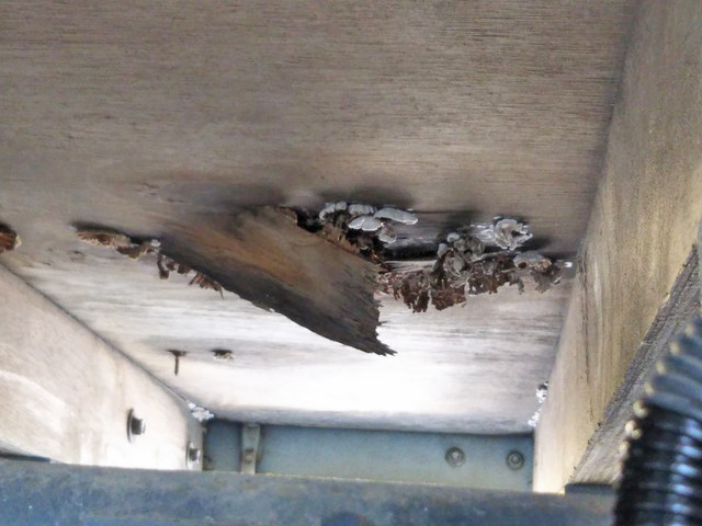 三菱ふそうキャンター平ボディ小型（2t・3t）[写真20]