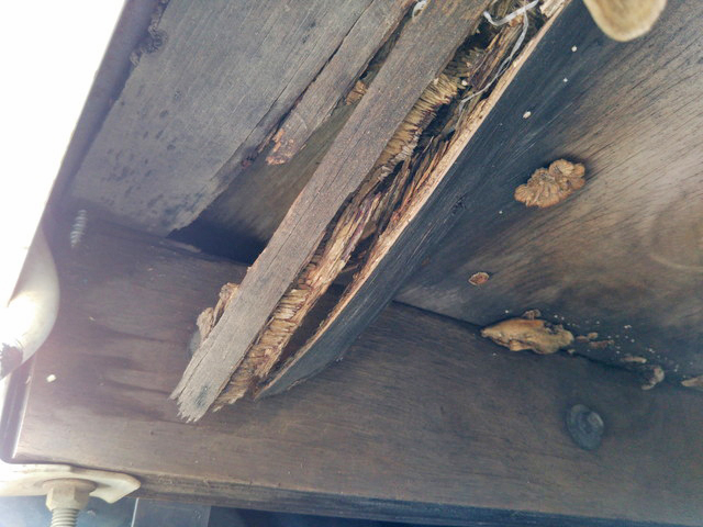 三菱ふそうキャンター平ボディ小型（2t・3t）[写真21]