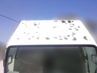 マツダタイタン保冷バン小型（2t・3t）[写真22]