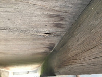 いすゞエルフ平ボディ小型（2t・3t）[写真22]