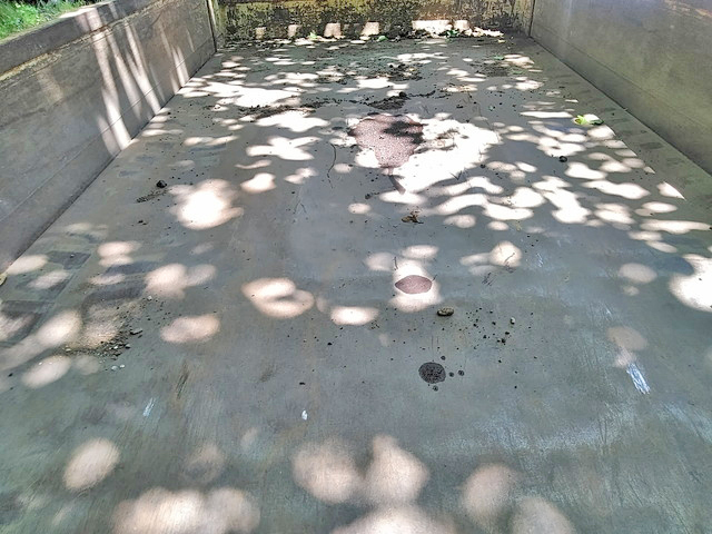 いすゞエルフダンプ小型（2t・3t）[写真11]