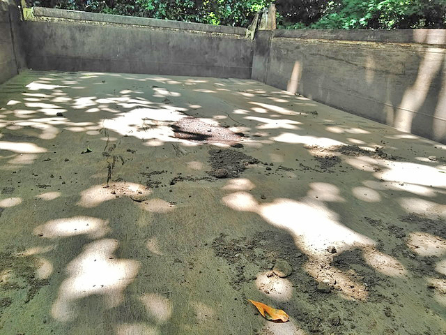 いすゞエルフダンプ小型（2t・3t）[写真12]