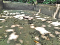 いすゞエルフダンプ小型（2t・3t）[写真12]