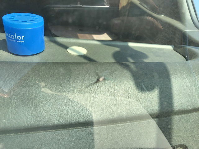 いすゞフォワードアルミウイング中型（4t）[写真20]