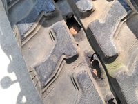 コマツミニユンボ（ミニバックホー）[写真22]