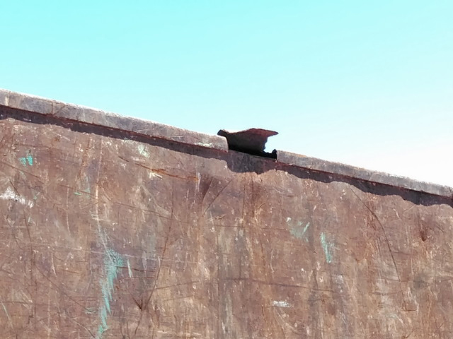 日野レンジャー深ダンプ（土砂禁ダンプ）中型（4t）[写真09]